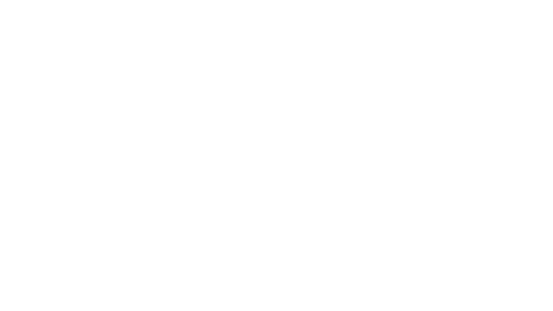 ergo_logo_weiss.png